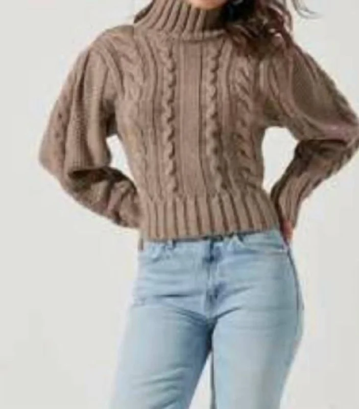 Sweater In BrownRibbed Knit Tops