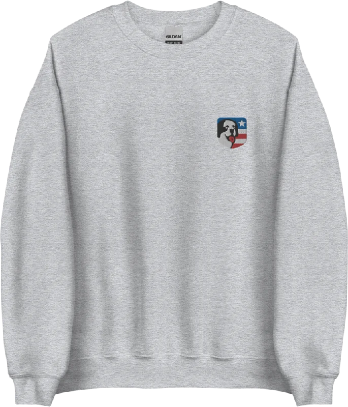 Big Dog USA Embroidered SweatshirtCollege Sweatshirts