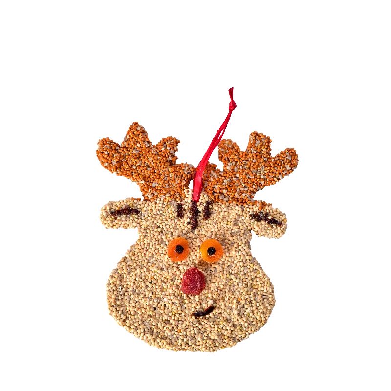 Mr. Bird Rudolph the Red Nose Reindeer Christmas Cookie Bird Seed Ornament